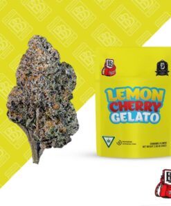 lemon cherry gelato strain cherry lemon gelato strain platinum lemon cherry gelato strain lemon cherry gelato strain effects lemon cherry gelato strain indica or sativa lemon cherry gelato weed strain​ super lemon cherry gelato strain​ what strain is lemon cherry gelato lemon cherry gelato strain for salle​ lemon cherry gelato strain price lemon cherry gelato platinum lemon cherry gelato lemon cherry gelato price pound cherry lemon gelato strain platinum lemon cherry gelato strain​ lemon cherry gelato strain effects​ hit it - lemon cherry gelato​ lemon cherry gelato seeds​ lemon cherry gelato strain indica or sativa