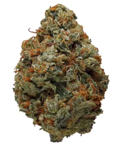 og kush strain, kush og strains, strains of og kush, og kush strain indica, skywalker og kush strain, strain og kush, banana og kush strain, fire og kush strain, og kush breath strain, ghost og kush strain, lemon og kush strain, pineapple og kush strain, larry og kush strain, og kush strain effects, mango og kush strain, what strain is og kush, og kush strains names, og kush weed strain, black og kush strain, og kush strain review, pure og kush strain, kush co og strain, og kush marijuana strain, og kush strain flower time, og kush strain thc level, san fernando og kush strain, kush og strain, la og kush strain, og kush strain info, og kush strain taste, og kush strains, platinum og kush strain, san fernando valley og kush strain, super og kush strain, o2 og kush strain, og kush cake strain, og kush strain flowering time, og kush strain information, og kush strain royal queen seeds, og kush strains list, sfv og kush strain, best og kush strains, hazy kush og strain, og kush breath strain effects, og kush mints strain, og kush strain allbud, og kush strain benefits, og kush strain leafly, purple og kush strain, sour og kush strain, tahoe og kush strain, 02 og kush strain, 707 og kush strain, alien og kush strain, all og kush strains, avatar og kush strain, berry og kush strain, blueberry og kush strain, cali og kush haze strain, cherry og kush strain, diablo og kush strain, double og kush strain, frosty og kush strain, godfather og kush strain, gorilla og kush strain, iron triangle og kush strain, is og kush a good strain, lemon og kush strain review, lime og kush strain, lithium og kush strain, marijuana strain og kush, master og kush strain, og kush 18 strain, og kush auto strain, og kush berry strain, og kush breath strain allbud, og kush cannabis strain, og kush hybrid strain, og kush story strain, og kush strain indica or sativa, og kush strain lineage, og kush strain plant, og kush strain terpene profile, og kush strain yield, og master kush strain, og.kush strain, original og kush strain, skunk og kush strain, snoop dogg og kush strain, sour diesel og kush strain, strawberry og kush strain, tahoe og kush strain review, tko og kush strain, top og kush strains, true og kush strain, what is the best og kush strain, wifi og kush strain, $100 og kush strain review, 818 og kush strain, 90s og kush strain,