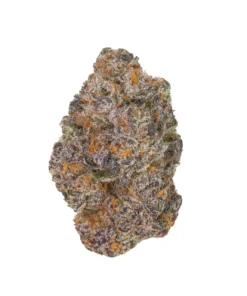Apple Fritter ( Hybrid strain )