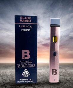 Blinker Vape 2G Disposable