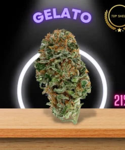 Gelato ( Hybrid strain )
