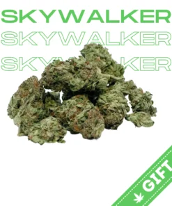 skywalker og strain skywalker og kush strain ovm x skywalker og strain skywalker og weed strain strain skywalker og gmo x skywalker og strain skywalker og strain effects og skywalker strain gmo x skywalker og strain review skywalker og strain indica or sativa skywalker og strain info what strain is skywalker og skywalker og strain leafly skywalker og strain review gmo x skywalker og strain leafly og skywalker strain info platinum skywalker og strain skywalker og strain allbud gmo skywalker og strain luke skywalker og strain skywalker og marijuana strain skywalker og strain genetics skywalker og strain grow info skywalker og strain near me skywalker og strain stiiizy skywalker og strain taste skywalker og strain thc skywalker og strain thc level skywalker og strain yield skywalker strain og strains similar to skywalker og pink skywalker og strain raspberry skywalker og strain royal skywalker og strain skywalker og cannabis strain skywalker og strain cartridge skywalker og strain seeds skywalker og wax strain skywalker.og strain white skywalker og strain alien skywalker og strain blue skywalker og strain brass knuckles skywalker og strain bubba skywalker og strain buy skywalker og strain cartridges online cannabis strain skywalker og effects of skywalker og strain gmo x skywalker og strain effects growing skywalker og strain heavy hitters skywalker og strain skywalker-og ilovegrowingmarijuana strain review skywalker og indica skywalker og strain is skywalker og a good strain is skywalker og an outdoor strain leafly skywalker og strain lemon skywalker og strain lil skywalker og strain marijuana strain skywalker og marijuana strains skywalker og noir skywalker og strain northern strains gold label skywalker og cartridge og skywalker marijuana strain og skywalker weed strain og strain skywalker og purple skywalker og strain reserva privada skywalker og kush strain review reserved skywalker og strain skywalk og strain skywalker og auto strain skywalker og big chief strain skywalker og cannabis strain review skywalker og cannabis strain thc cbd skywalker og cart strain skywalker og cartridge strain skywalker og cbd strain skywalker og indica strain skywalker og kush cannabis strain skywalker og kush strain review skywalker og leafly strain skywalker og medical marijuana strain skywalker og oil strain skywalker og oil strain review skywalker og similar strains skywalker og stiiizy strain skywalker og strain allbu skywalker og strain big chief skywalker og strain cart skywalker og strain deffinsion skywalker og strain definition skywalker og strain delta 8 skywalker og strain facts skywalker og strain flavor skywalker og strain flower time skywalker og strain flowering time skywalker og strain grow skywalker og strain grow guide skywalker og strain height skywalker og strain hi res skywalker og strain info leafly